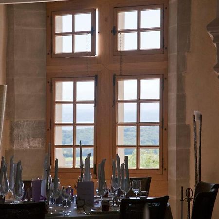 Hôtel Chateau Le Rosey à Nyon Extérieur photo