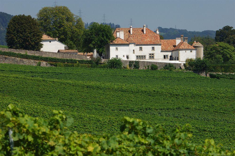 Hôtel Chateau Le Rosey à Nyon Extérieur photo