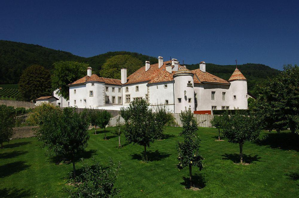 Hôtel Chateau Le Rosey à Nyon Extérieur photo