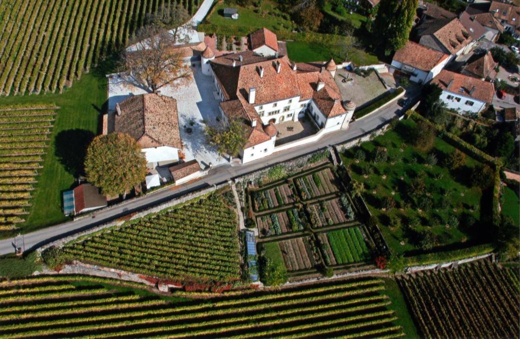 Hôtel Chateau Le Rosey à Nyon Extérieur photo